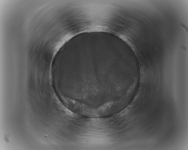 X0000100751469200807101652