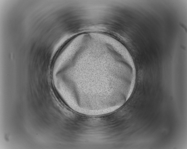 X0000100751470200807101652