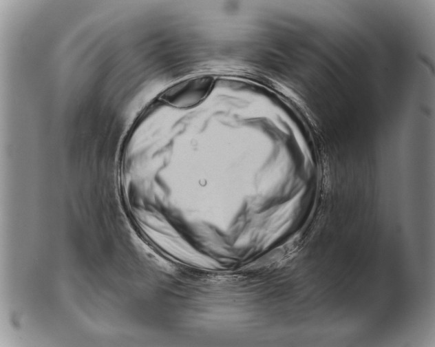 X0000100751471200807101652