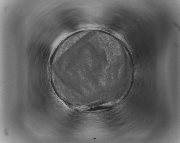 X0000100751472200807101652