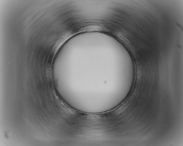 X0000100751473200807101652