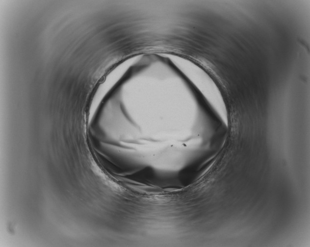 X0000100751476200807101652