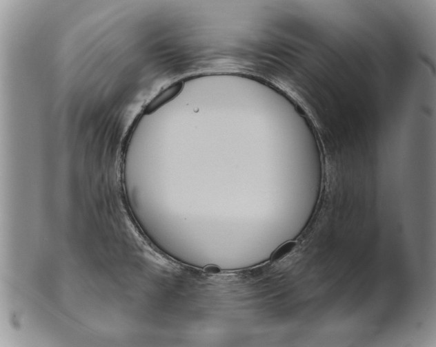 X0000100751477200807101652