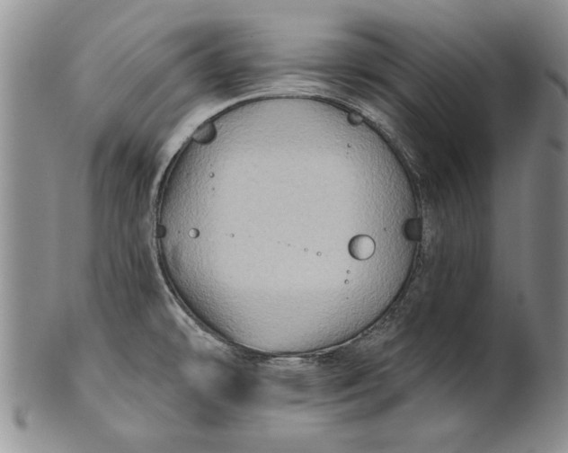 X0000100751478200807101652