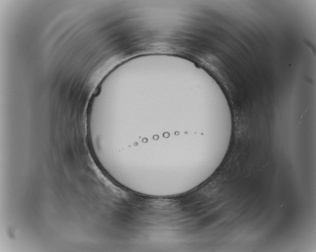 X0000100751479200807101652