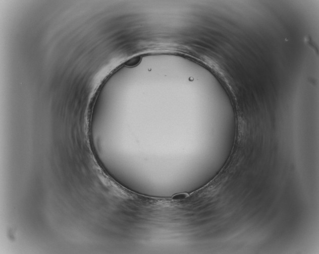 X0000100751480200807101652