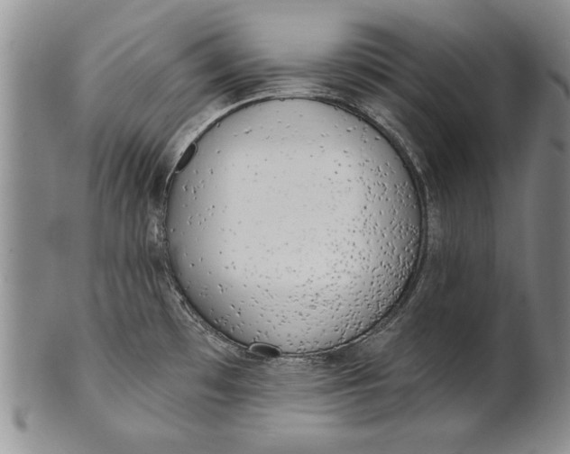 X0000100751481200807101651