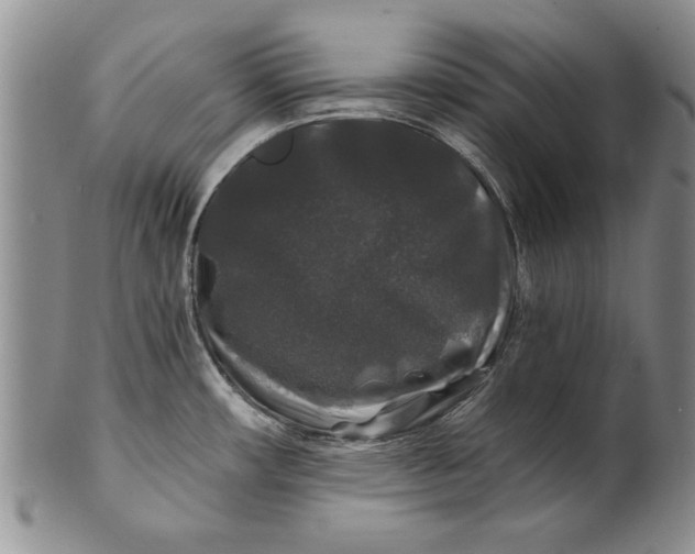 X0000100751482200807101651