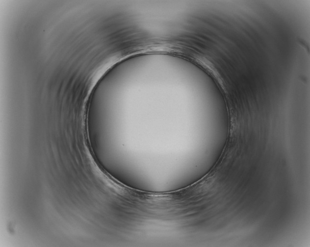 X0000100751483200807101651