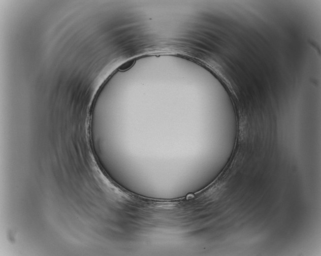 X0000100751484200807101651