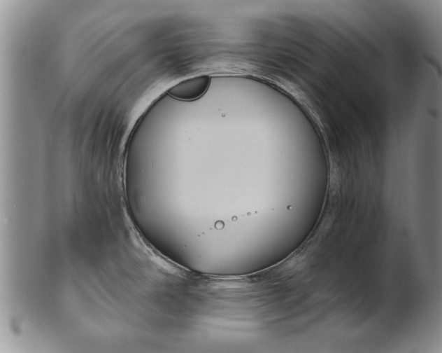 X0000100751486200807101651