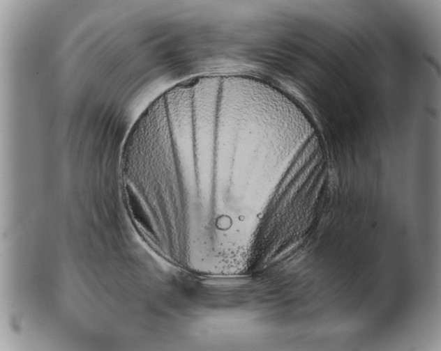 X0000100751487200807101651