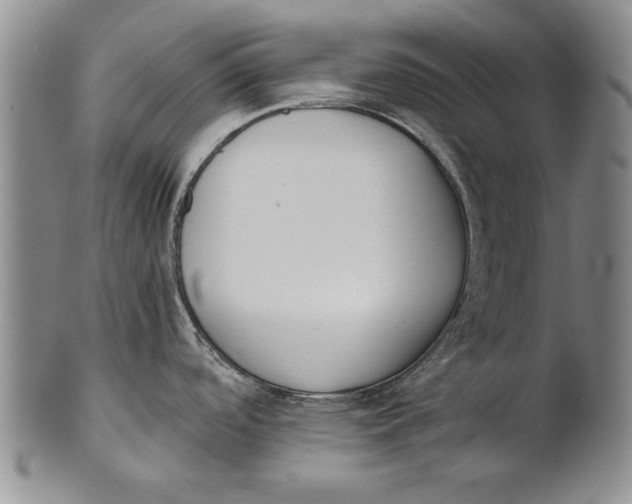 X0000100751488200807101651