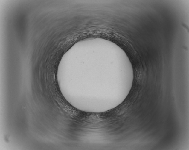 X0000100751489200807101651