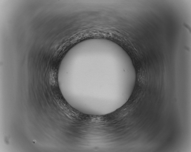 X0000100751490200807101651