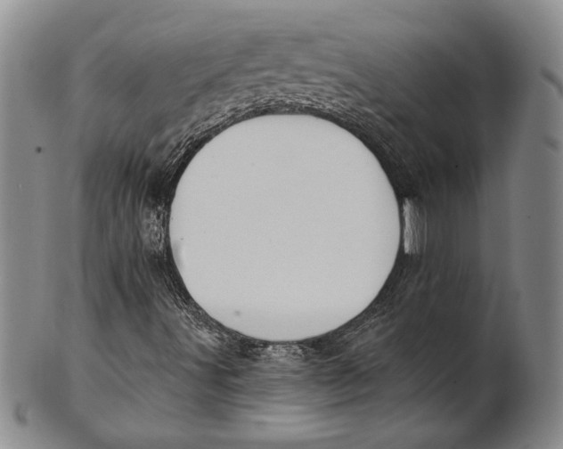 X0000100751491200807101651