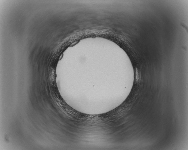 X0000100751492200807101651