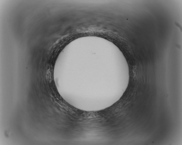 X0000100751493200807101651