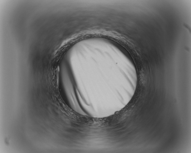 X0000100751494200807101651