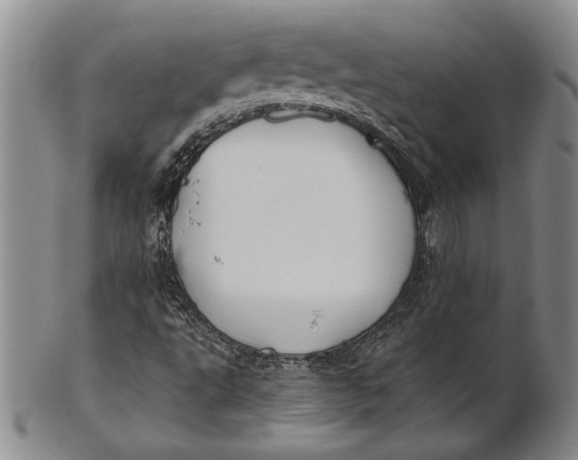 X0000100751495200807101651