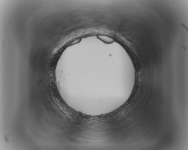 X0000100751496200807101651