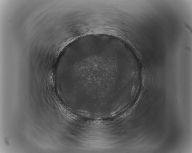 X0000100751497200807101651