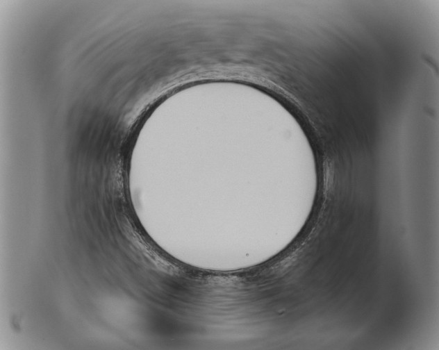 X0000100751498200807101651