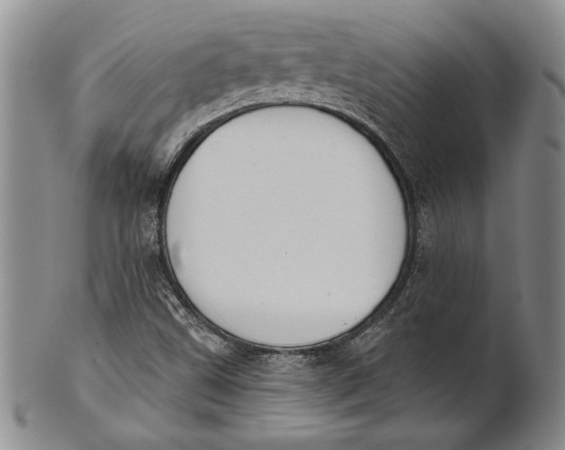 X0000100751499200807101651