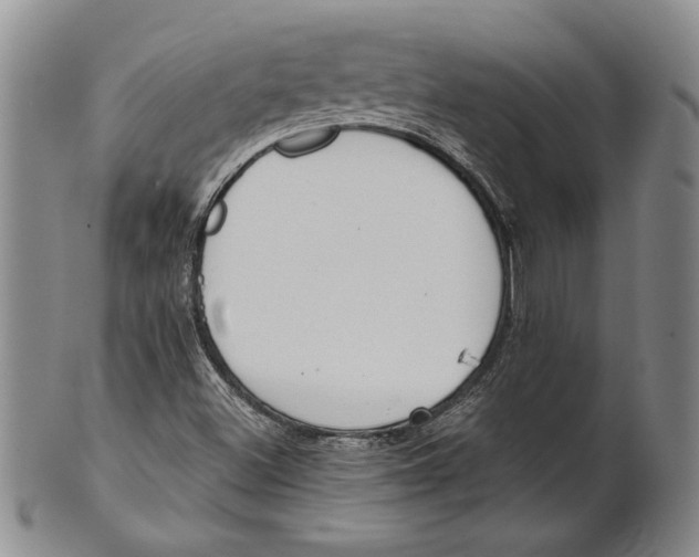 X0000100751500200807101651