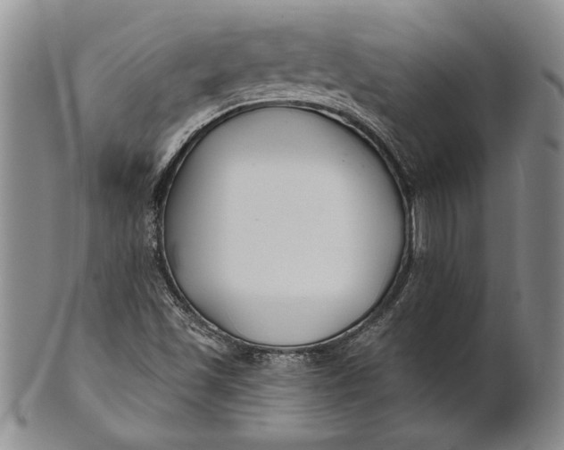 X0000100751501200807101651