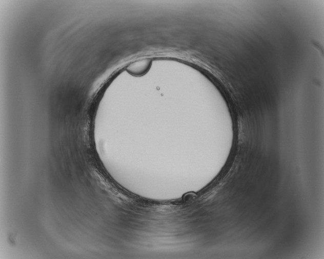 X0000100751502200807101651