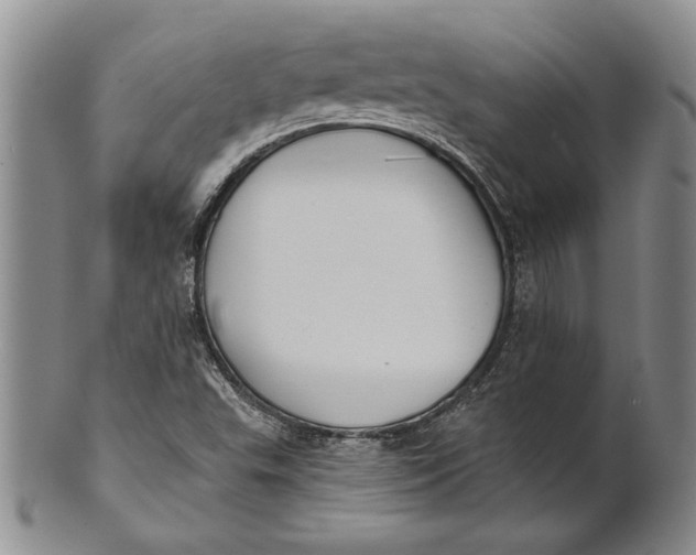 X0000100751503200807101651