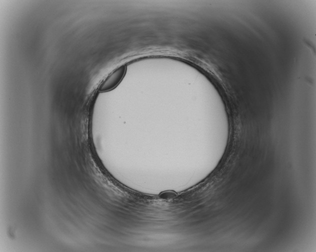 X0000100751504200807101651