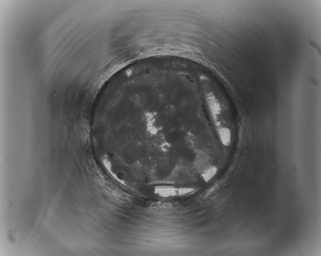 X0000100751505200807101651