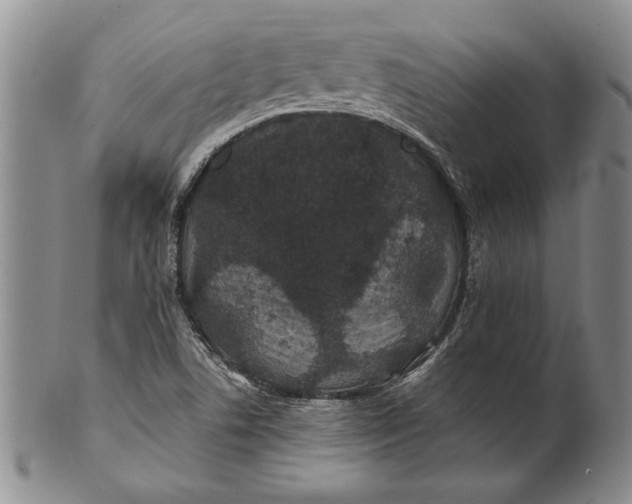 X0000100751506200807101651