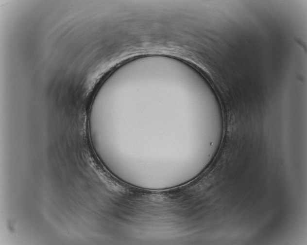 X0000100751507200807101651