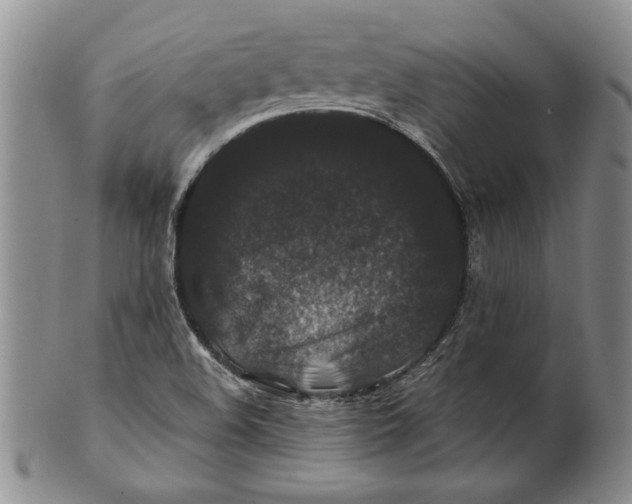 X0000100751508200807101651