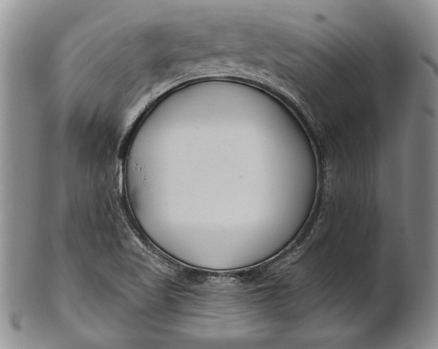 X0000100751509200807101651