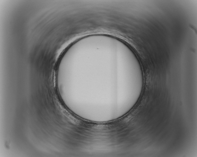 X0000100751510200807101651