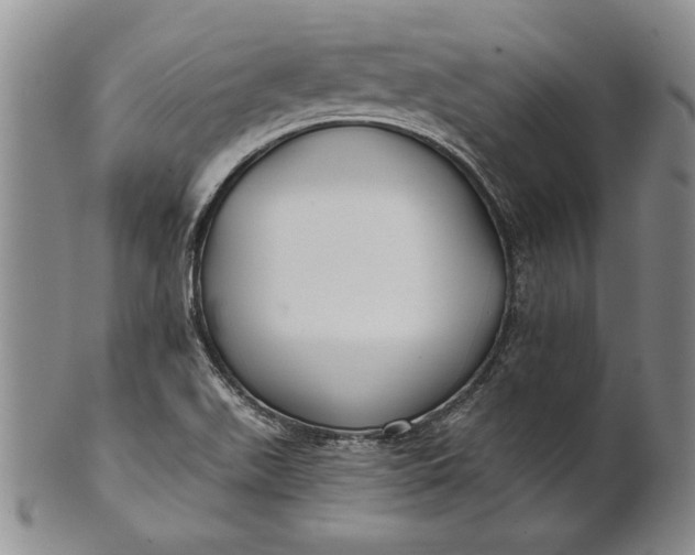 X0000100751511200807101651