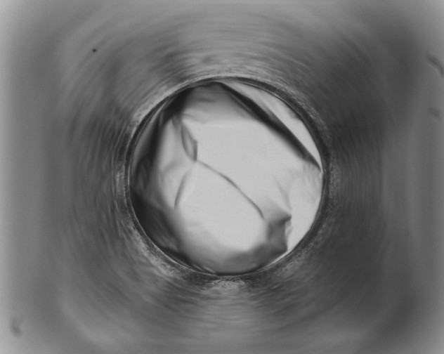 X0000100751513200807101651