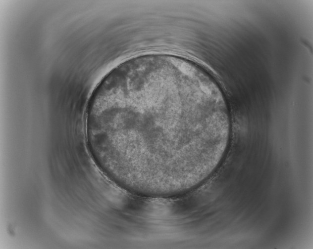 X0000100751514200807101651