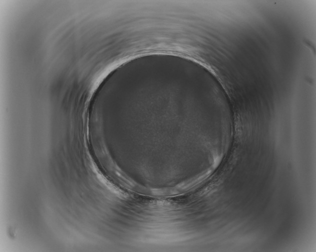 X0000100751515200807101651