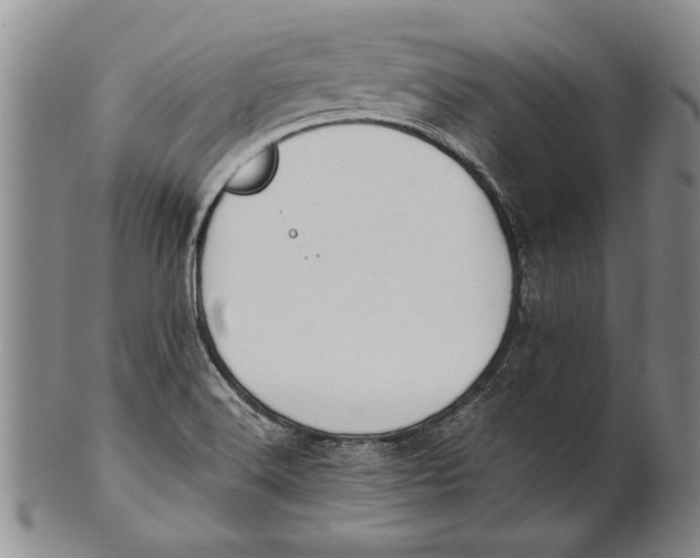 X0000100751516200807101651