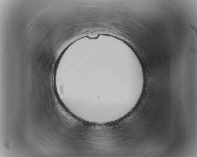 X0000100751518200807101651