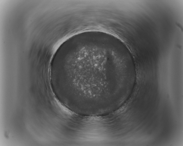 X0000100751519200807101651