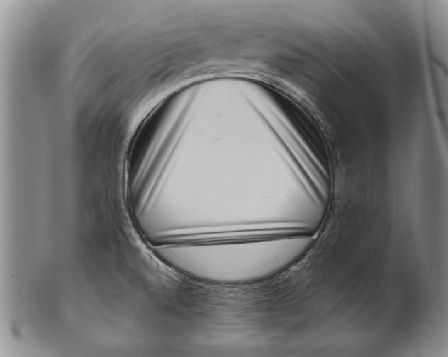 X0000100751520200807101651