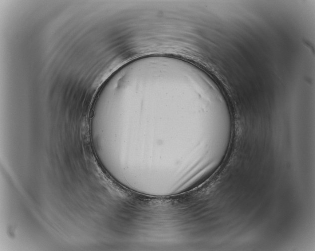 X0000100751521200807101651