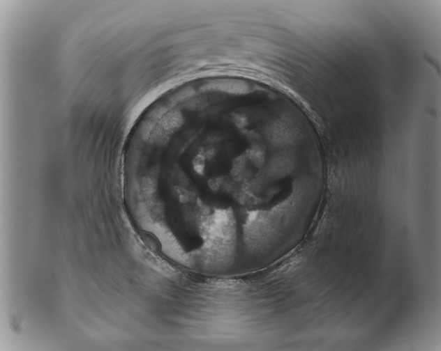 X0000100751522200807101651