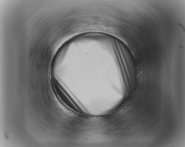 X0000100751523200807101651